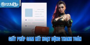 Giấy phép cam kết hoạt động thanh toán